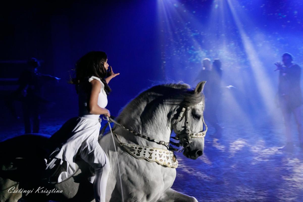Július közepén kezdődik a mórahalmi lovas színház évada