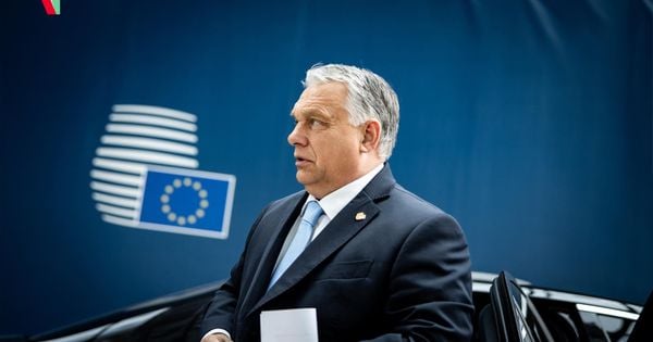 Már küldik a kötcsei piknikre a meghívót, Orbán Viktor két hét múlva újra ott lesz