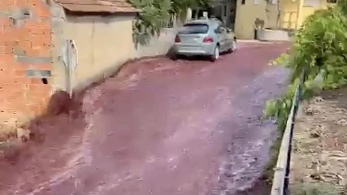 Elképesztő videó: vörösbor árasztott el egy portugál várost